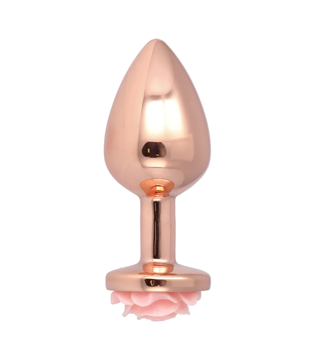N. 28 PLUG ANALE IN METALLO TAGLIA M