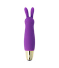 VIBRATORE A PROIETTILE CONIGLIO N. 2